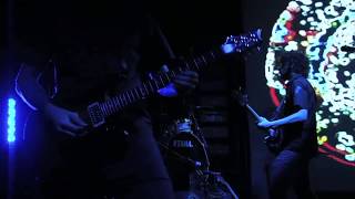 The Ocean  Firmament OFFICIAL LIVE VIDEO [upl. by Ylrebmi]