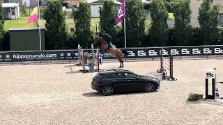 Salsa de Septon 2018 Mare No Comment de Septon x Berlin 6yo class CSIYH Opglabbeek [upl. by Ferdinana643]