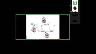 NSA Residents tutorial Capnography [upl. by Huang]