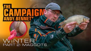 Winter Maggot Fishing With Andy Bennett [upl. by Ilonka]