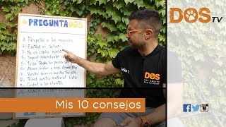 10 CONSEJOS PARA Adiestradores Caninos NOVATOS 📝😉 [upl. by Esylle195]