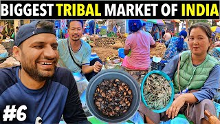 Biggest TRIBAL Market of NAGALAND INDIA [upl. by Ellehcirt904]