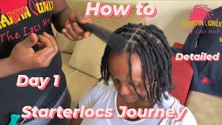 Perfect Starter Locs Tutorial  Interlocking amp Instant Crochet Method [upl. by Noni]