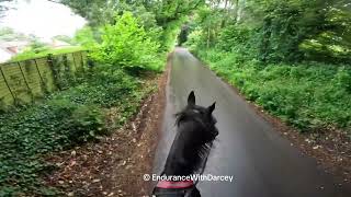 Trotting on road between bridleways [upl. by Tybi]