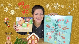 Veganer Adventskalender und Lebkuchenhaus von DM im Test [upl. by Alletneuq]