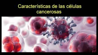 Características de las células cancerosas [upl. by Elliven229]