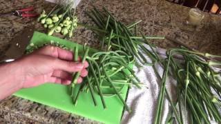 How to Prepare Garlic Scapes for Cooking  Love Your Land [upl. by Eladnwahs]