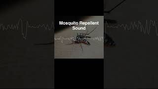 Mosquito Repellent Sound 17KHz [upl. by Ellehsad]