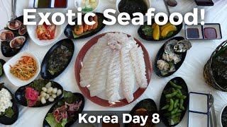 Exotic Korean Seafood in Gunsan South Korea Day 8 [upl. by Clementine]