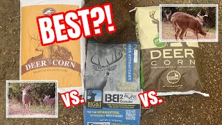 Best Attractant for Whitetail Deer  Deer Corn  Whitetail Deer Hunting [upl. by Yatnahs]