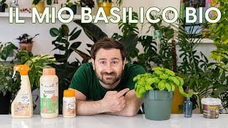 Basilico bio per tutto l’anno Ecco i trucchi per coltivarlo al meglio 😉 [upl. by Nnoj]