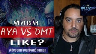 What is an Ayahuasca  DMT Trip Like [upl. by Ahsias]