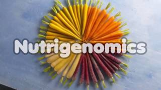 Nutrigenomics  An Introduction [upl. by Ayenet]