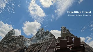 Expedition Everest  Disneys Animal Kingdom Theme Park  POV 4K [upl. by Vial]