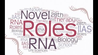 Lynne E Maquat  Nonsensemediated mRNA decay NMD in health and disease [upl. by Lars]