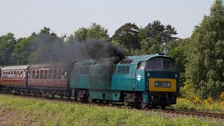 4K Severn Valley Diesel Gala 2024 [upl. by Wein972]