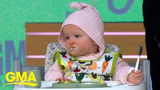 Baby experts share tips on how to successfully feed fussy eaters l GMA [upl. by Socher492]