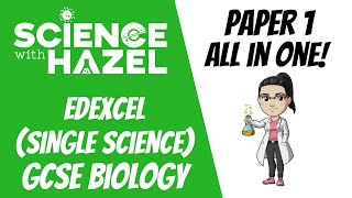 ALL OF EDEXCEL GCSE 91 BIOLOGY 2024 ⭐PAPER 2⭐  Triple Award  GCSE Biology Revision [upl. by Gimble139]