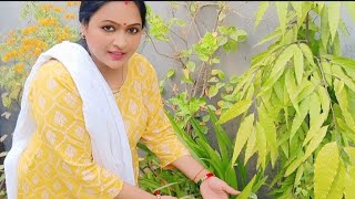 Gardening with Neelam is live on hai 🙏 Good morning friends 🌞 [upl. by Ardnuasac]