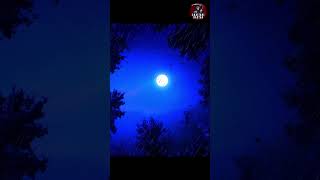 Shrapit Stree Ki Kahani  shorts creepy horrorstorie [upl. by Dido499]