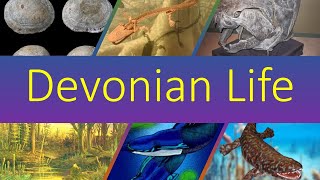 Life Of The Devonian Period [upl. by Ilse726]