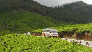 Munnar Kerala  Waterfalls  Tea garden  Dam  Fog  Spice garden [upl. by Manup514]