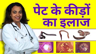 Intestinal Worms Treatment  Pet me Kide ka Ilaj Kaise Kare [upl. by Bret651]