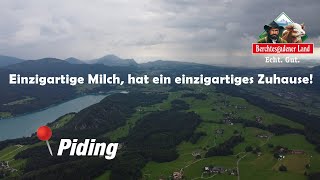 Molkerei Berchtesgadener Land  Milchverarbeitung  Nachhaltigkeit  Salzachtaler Agrarvideos [upl. by Goines292]