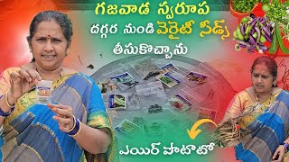 గజవాడ స్వరూప దగ్గర నుండి వెరైటీ సీడ్స్ తీసుకొచ్చాను terracegarden seedsowing gardeningtips [upl. by Adle30]