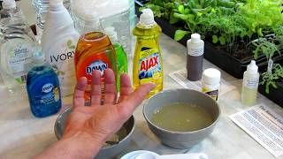 How to Make Soapy Water Garden Insect Sprays The Recipe Use amp Soap Selection  DIY Ep3 [upl. by Brion]