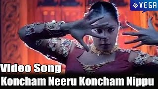 DongaDonga Movie  Koncham Neeru Koncham Nippu Video Song [upl. by Nnyllatsyrc]