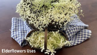 Elderflowers and How to Use Them [upl. by Anaylil]