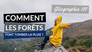 Comment les FORÊTS font TOMBER la PLUIE [upl. by Evilc]