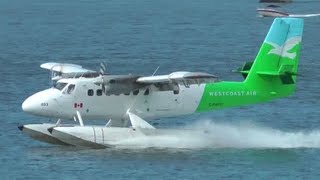 Twin Otter Seaplane in Action [upl. by Chaffin]