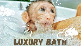 poor baby monkey bathing monkey babymonkey cute pets [upl. by Renault]