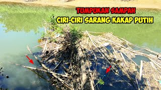 Ciriciri Sarang KAKAP PUTIH BESAR Mancing kakap putih [upl. by Baras]