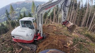 🌲 Windwurf  Steilhang  Totmann Einbau  TB 290  Husky 592  MS 462  JD 1270 G amp 1210G  🌲 [upl. by Kira]