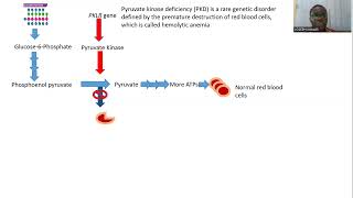 Pyruvate Kinase Deficiency [upl. by Nirual]