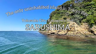 横須賀・猿島🏝️東京湾唯一の無人島で歴史と自然を感じながらハイキング！ [upl. by Auginahs210]