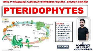 PTERIDOPHYTES LIVE CLASS  BASIC CONCEPT OF PTERIDOPHYTES  1st grade biology  BOTANY  BIOLOGY [upl. by Blondelle644]