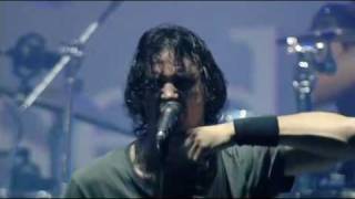 Gojira  A Sight to Behold Live at Vieilles Charrues Festival 2010 [upl. by Yesnel]