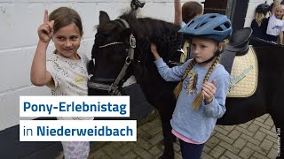 Tag mit dem Pony in Niederweidbach ist ein großes Erlebnis [upl. by Ydnal288]