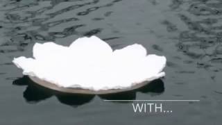 Biodegradable Water Floating Urn  Memorials com [upl. by Asum]