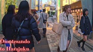 Omotesando to Harajuku Tokyo walking tour【4K】220241 [upl. by Anaya113]