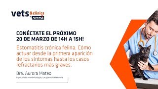 07ES Estomatitis crónica felina ¿Cómo actuar en cada caso Dra Aurora Mateo [upl. by Nerrag]