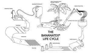 QWSTION  Bananatex® lifecycle [upl. by Leziar401]