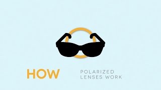 How Polarized Lenses Work  SmartBuyGlasses [upl. by Eseila]