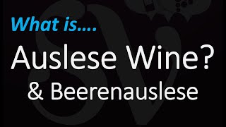 WTF is AUSLESE Wine amp Beerenauslese What The FRUiT Episode 3 [upl. by Rafaela]