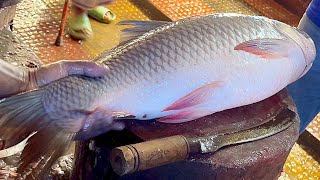 Amazing Cutting Skills  Giant Rohu Fish Cutting Skills By Expert Fish Cutter [upl. by Bedad575]