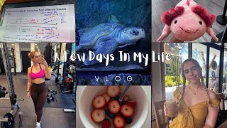 A Couple Days In My Life Vlog  Going to the aquarium gym routine school stress  Life Updates [upl. by Atat]